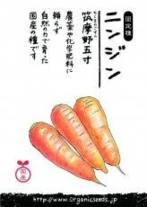 国産ニンジン(筑摩野五寸) 約４００粒　ＮＬＳ