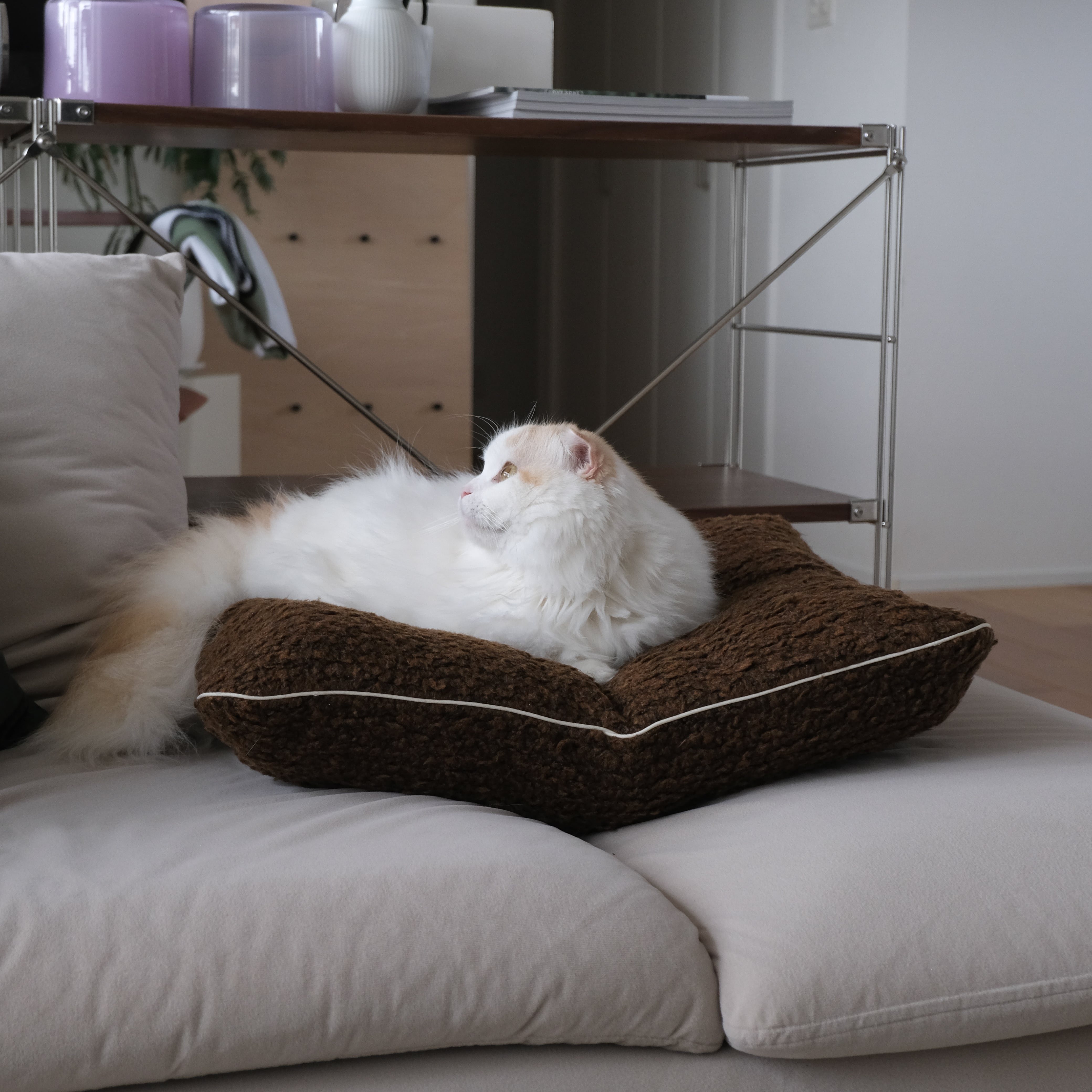 Catbedmatカバー / Cacao Alpaca × White piping