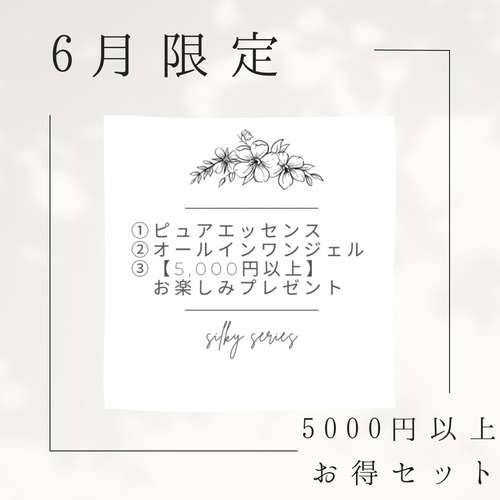 【5,000円以上お得】6月限定セット