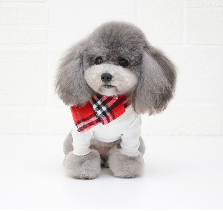チェックマフラー S M 2color 犬用 アクセサリー スカーフ ドッグウェア ペット用品 犬服 猫 暖かい 秋冬 小型犬 中型犬 ペット用品ショップ Nari Pet チェックマフラー S M 2color 犬用 アクセサリー スカーフ ドッグウェア ペット用品 犬服 猫 暖かい 秋冬 小型犬 中型犬 ペット用品ショップ Nari Pet
