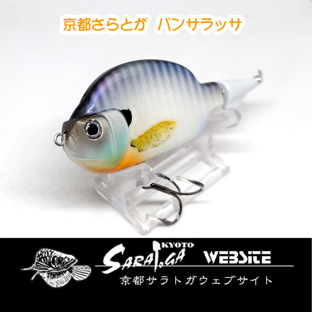 ザウルス ヨルマルミノー | 京都さらとが