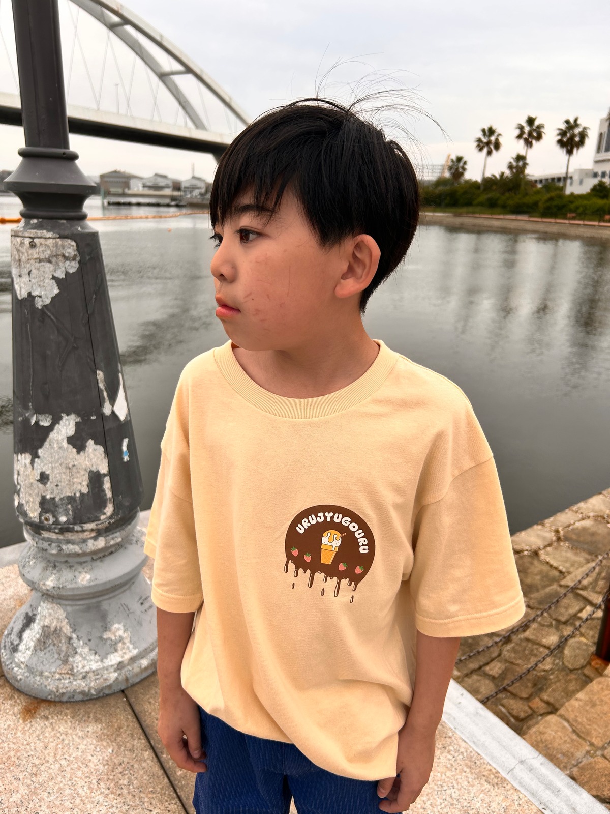 melting hamburger T UJG