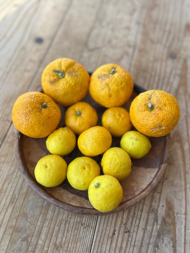 無農薬の柚子　1キロ【京都府産】