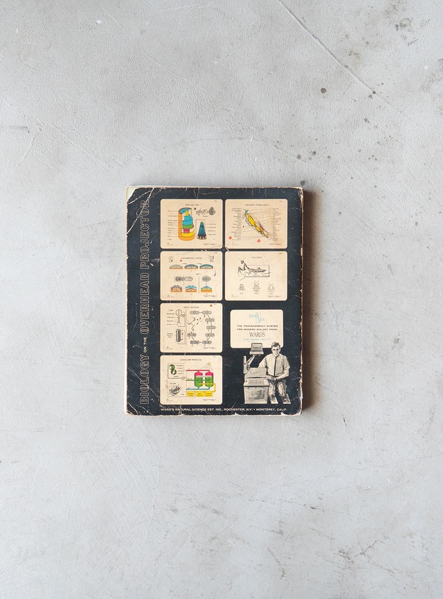 "WARD'S" 1960s  Catalog for biology book