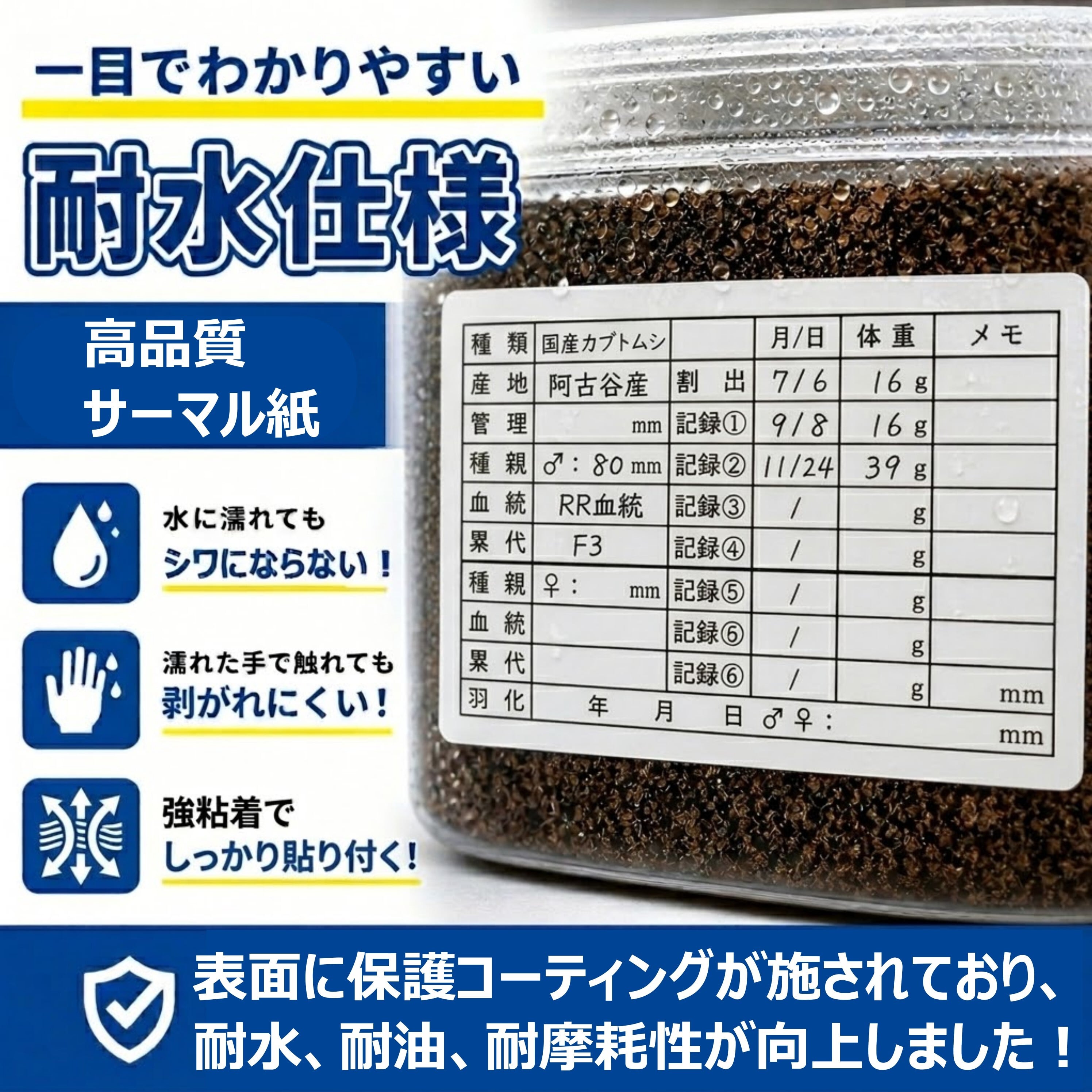 飼育管理ラベル 100枚（5面×20シート） カブトムシ クワガタ 幼虫 管理