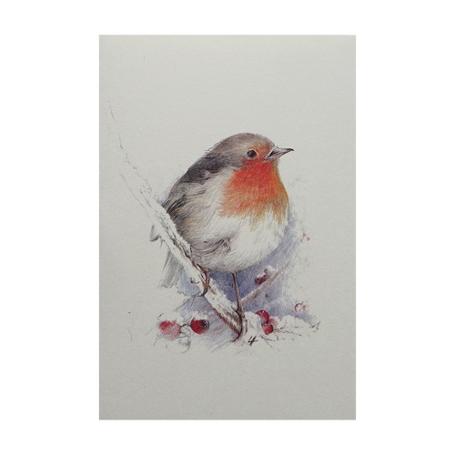 クリスマスカード ベルギー製 [FIRST CARDS] bird 4172