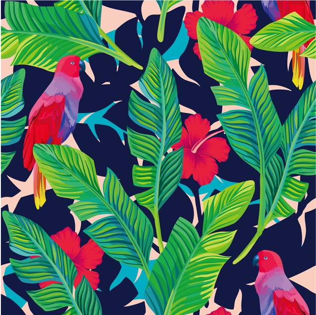 FBAL-SK26　プリントスカート　BIRD