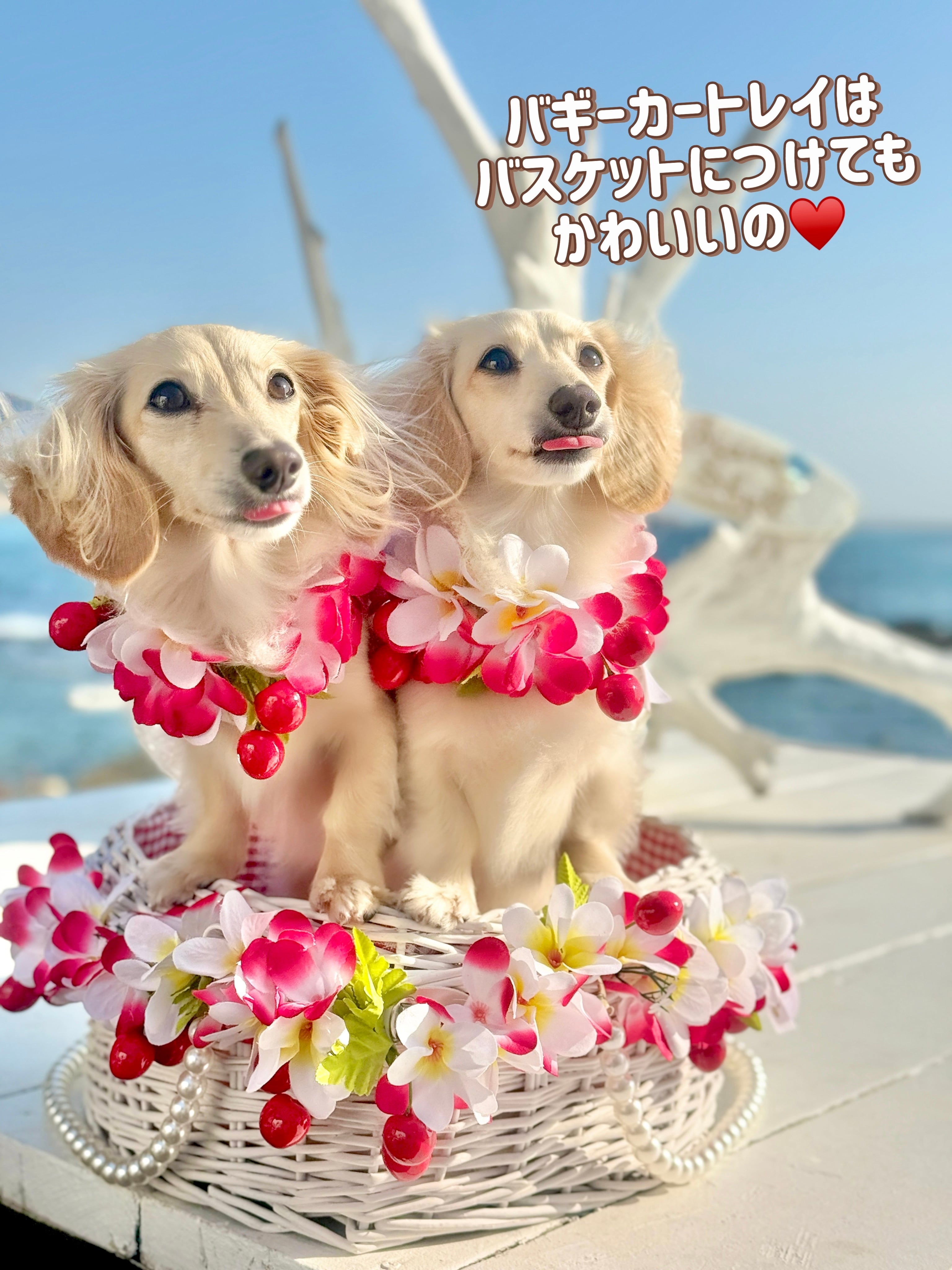 ミリミリチェリー