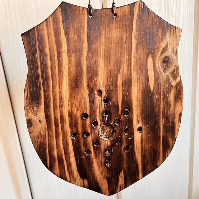 ビカクシダ グランデ 板付 【観葉植物 壁掛け コウモリラン】