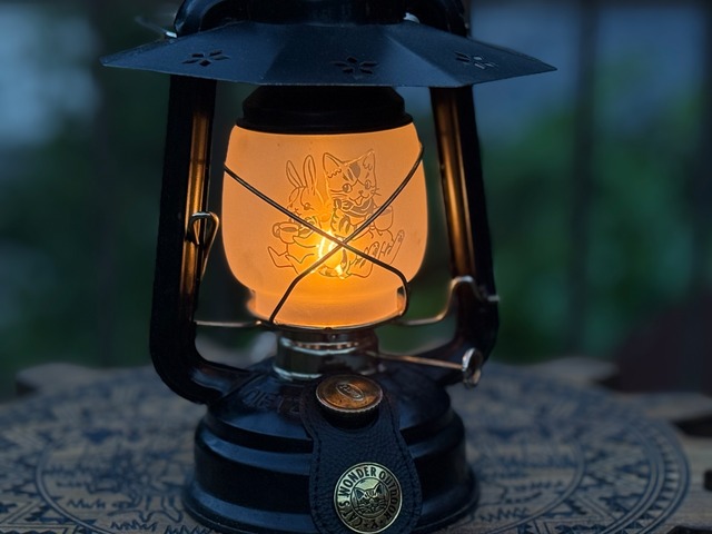 キャッツランタンホヤ DEIZ78/フェアハンド276