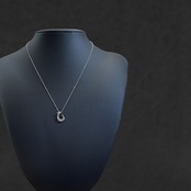 Fishhook Necklace〈S925〉