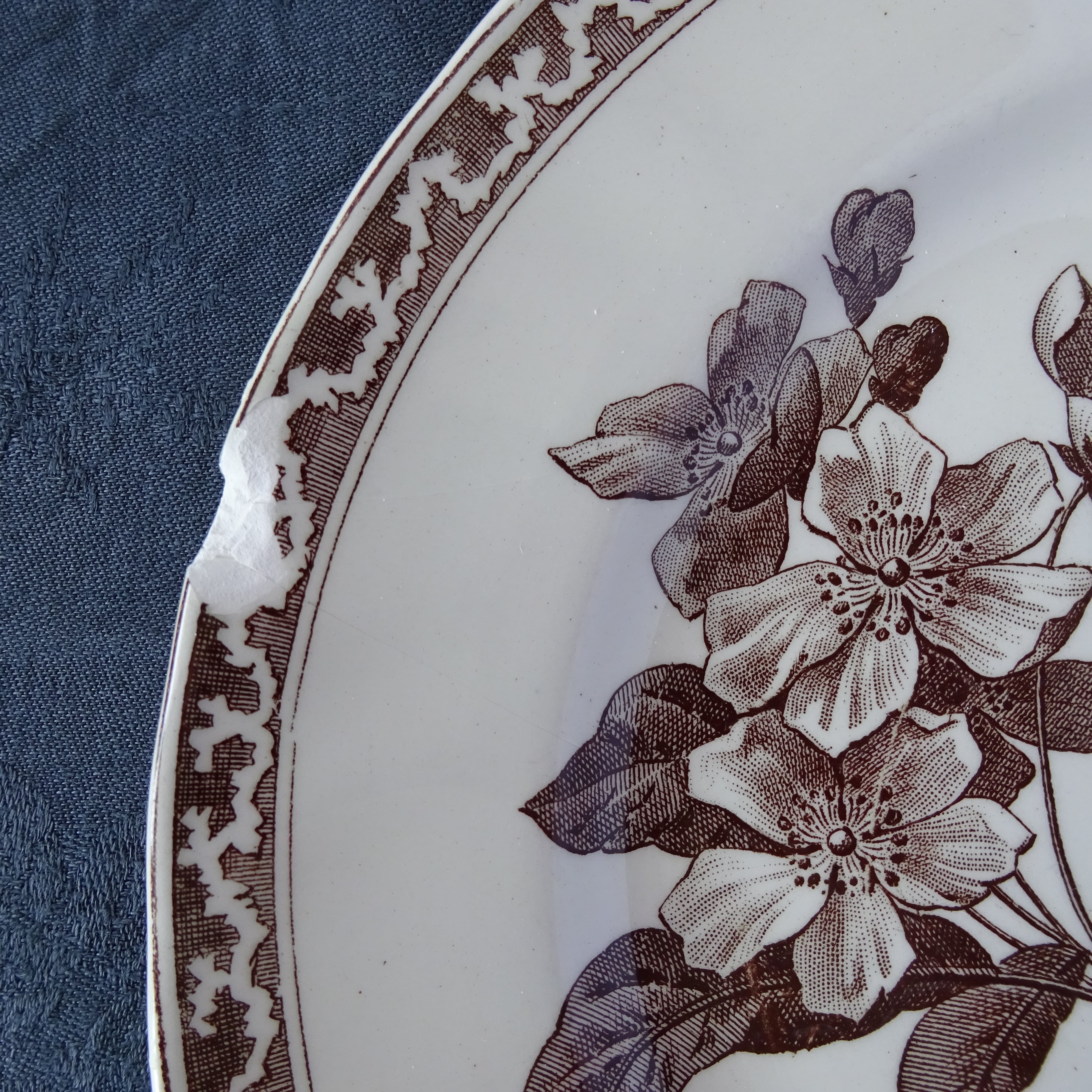 【金継ぎ用】Creil et Montereau＊décor《Fleur de pommier》assiette plate pour Kintsugi