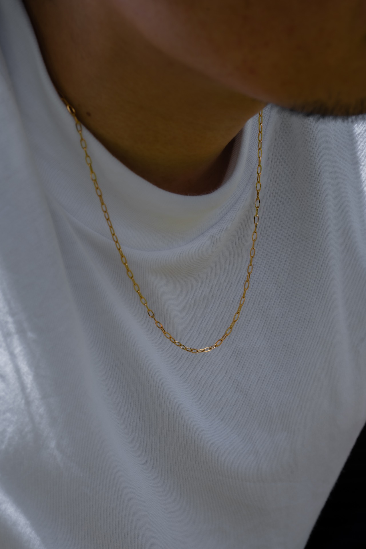【Skin Flat Chain Necklace】 / GOLD