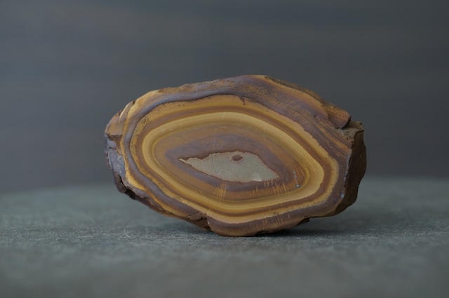 モロッコ産ストロマトライト Stromatolite 2212