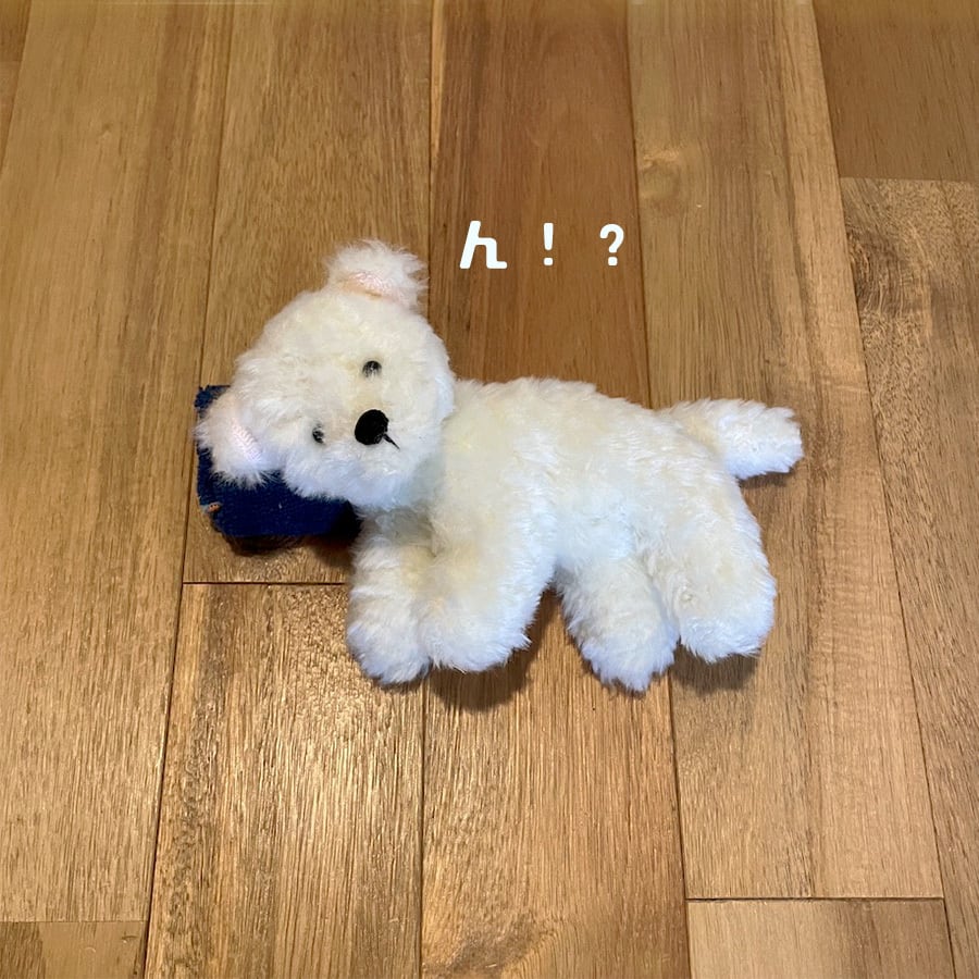 おやすみわんこ | もふいぬ