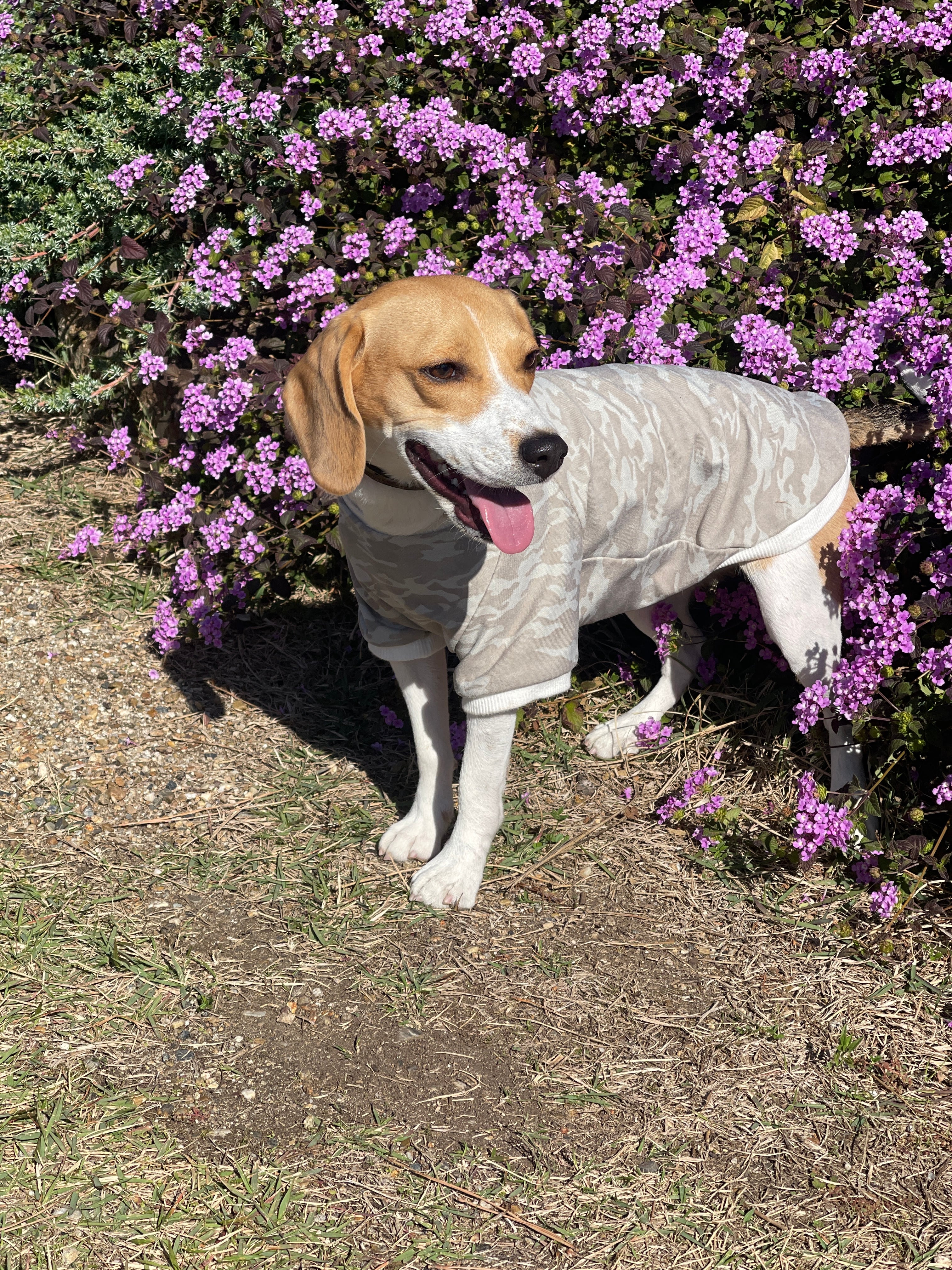 迷彩柄トップス