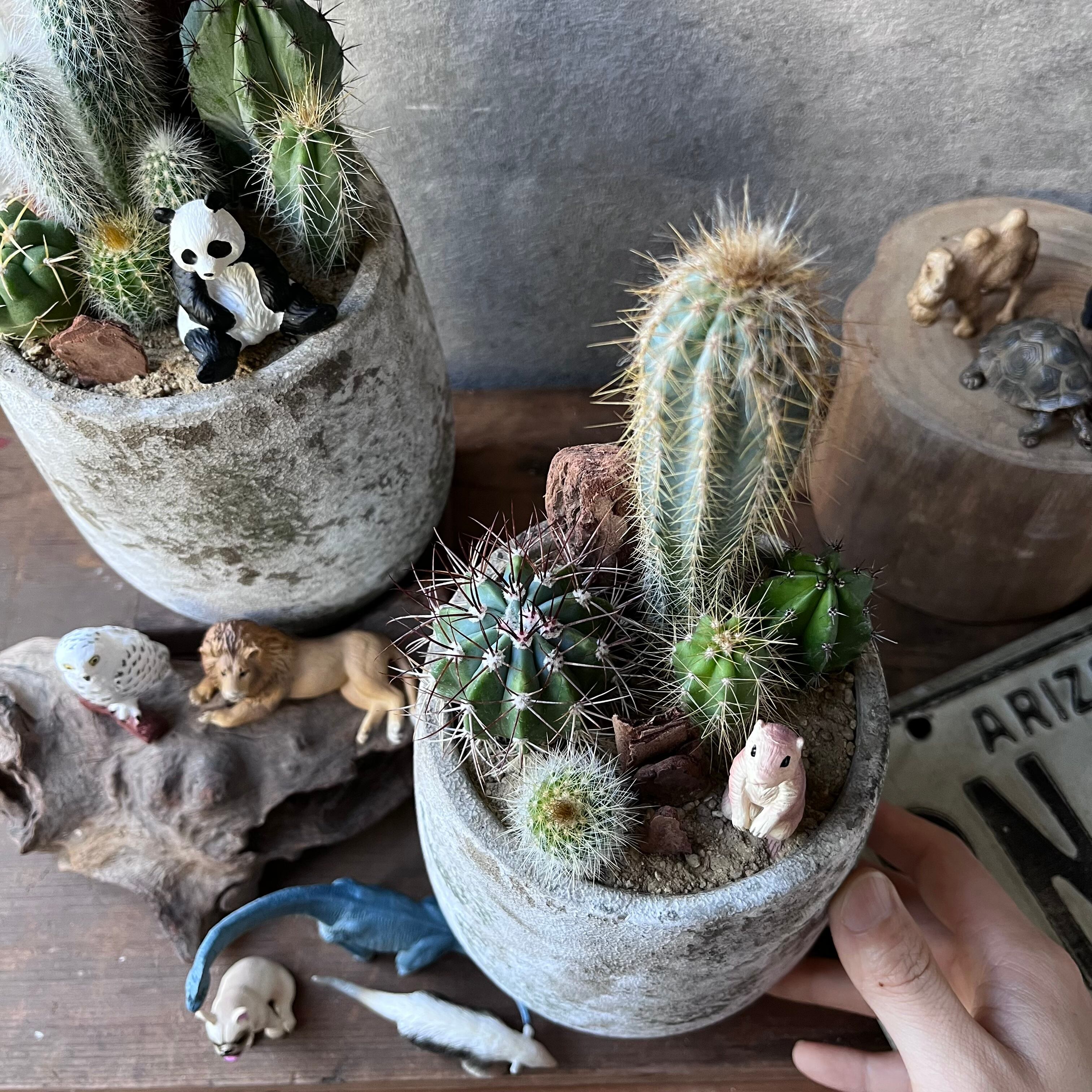 ☆送料無料☆イージーオーダー【Ssize Type.B】 選べる1匹 | SABOTEN