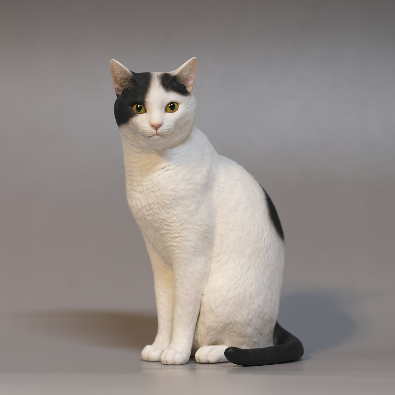 森口修の猫