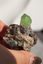 ペリドット「新緑の息吹」Peridot|天然石 原石 鉱物 パワーストーン | PD-H-002