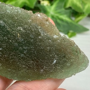 フローライトハリネズミさんのお家セット