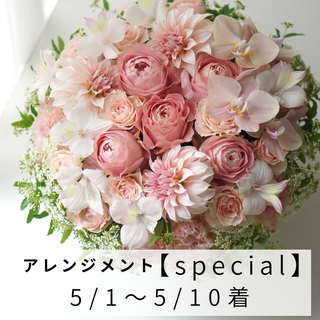 【Mothers day】 [special] アレンジメント 5/1〜5/10届