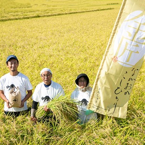 Mさま専用取り置き分【白米 10kg】25年産 特別栽培米コシヒカリ
