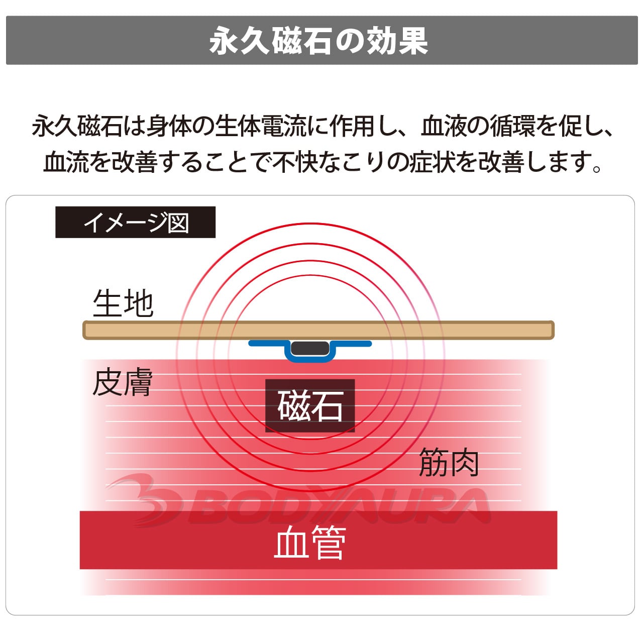 管理医療機器】磁気ベルト SECONDWINDII PREMIUM 腰用 日本製 血行改善