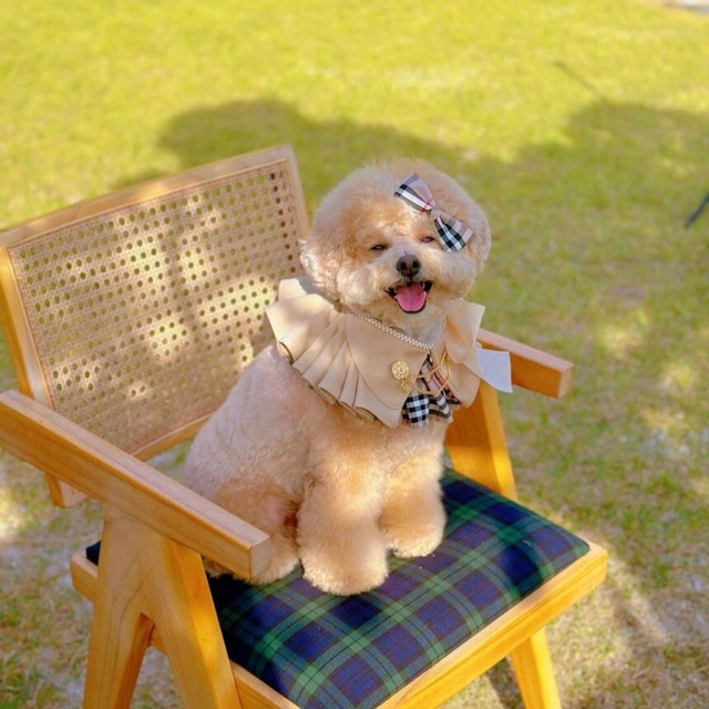 受注制作【Loocia】Trench  Cape〔3colour〕