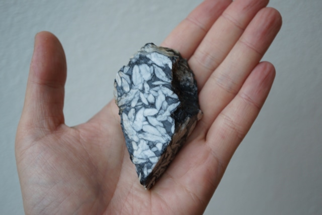 ピノライト Pinolite 1722