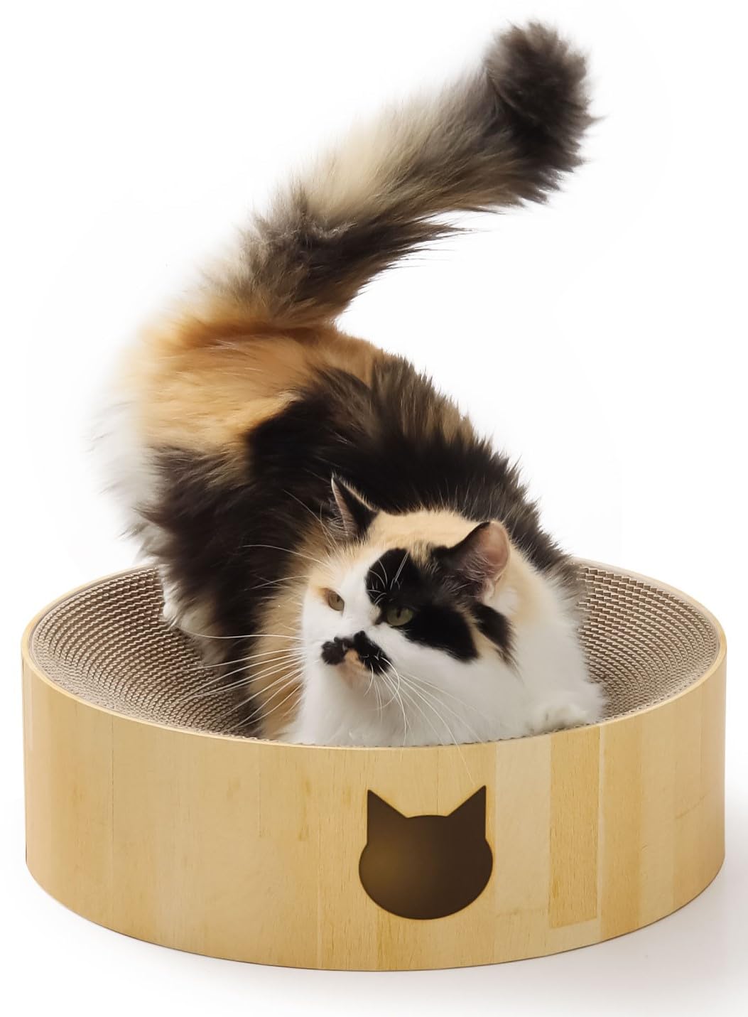 犬、猫 金のお皿 フードボール スヌープドッグコラボ商品 | Pay ID