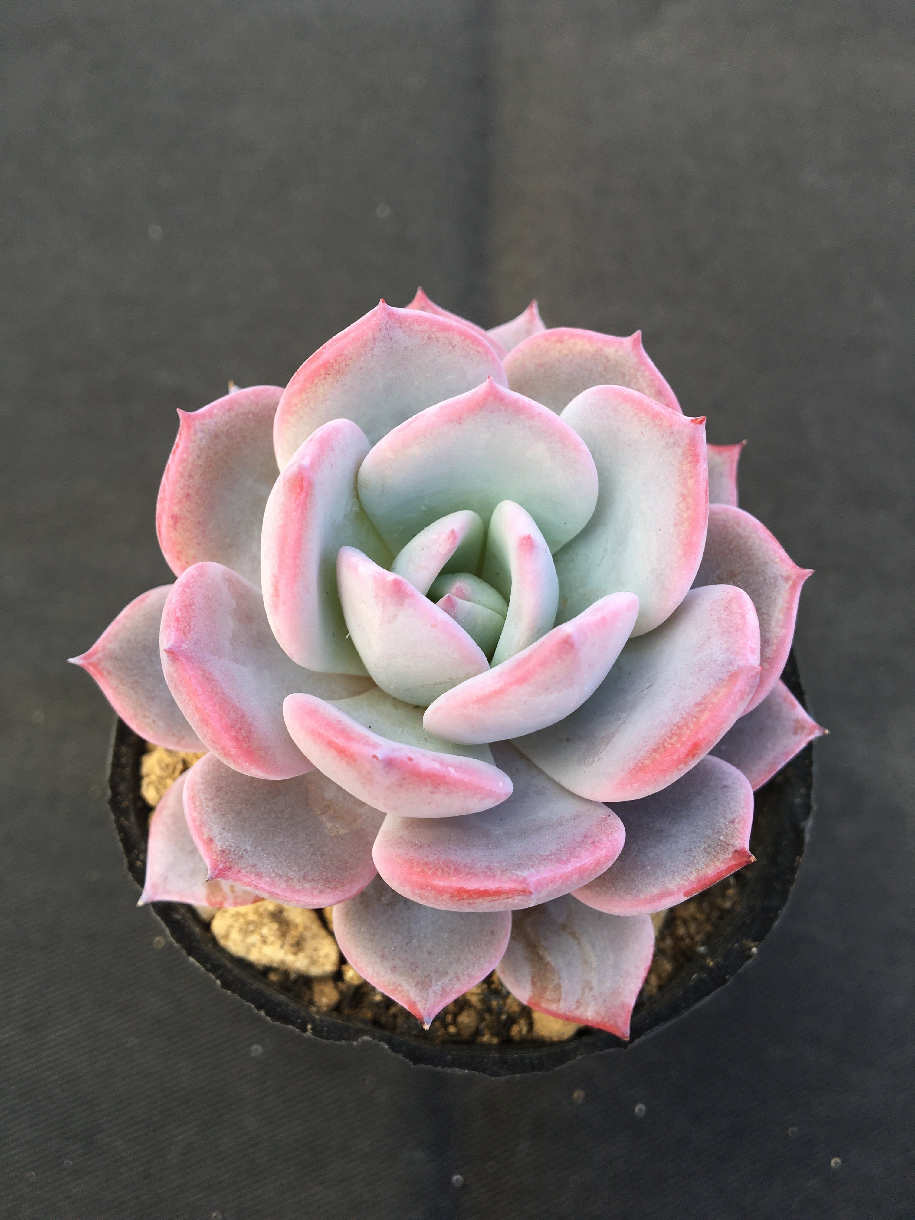 Ed1vhlfyqebbym Ed1vhlfyqebbym