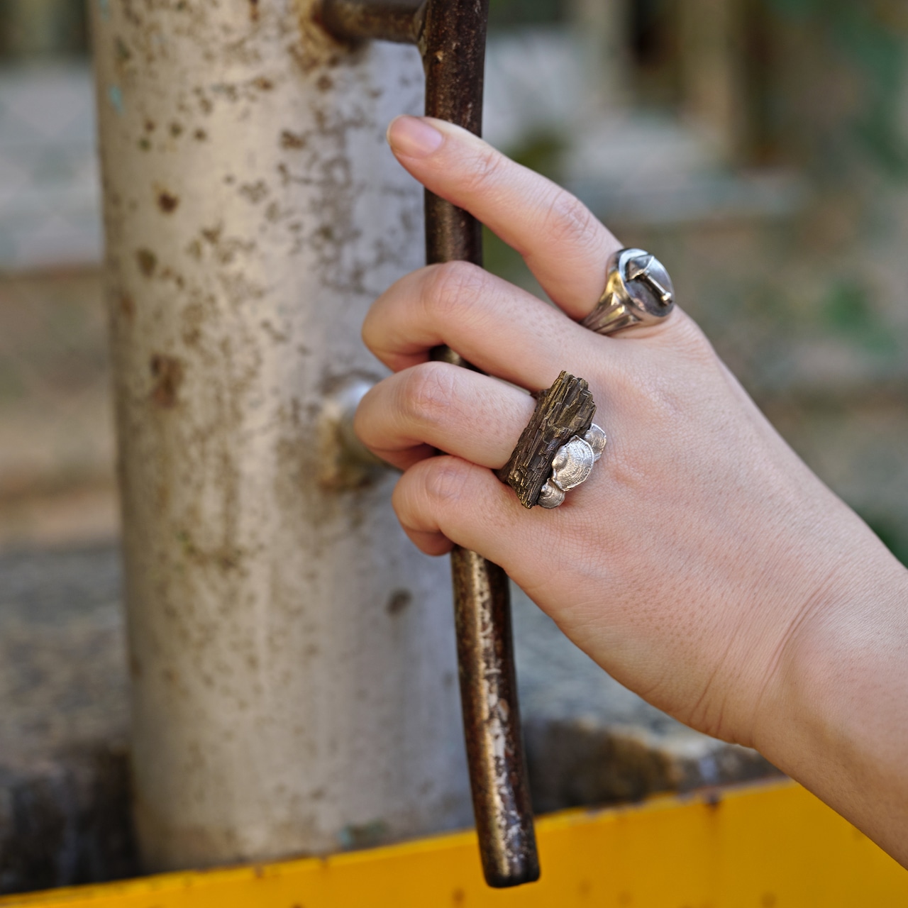 ウチワタケ×珪化木 コンビリング tree mushroom & silicified wood ring