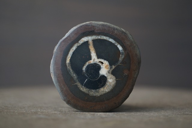 セプタリアン Septarian 1692