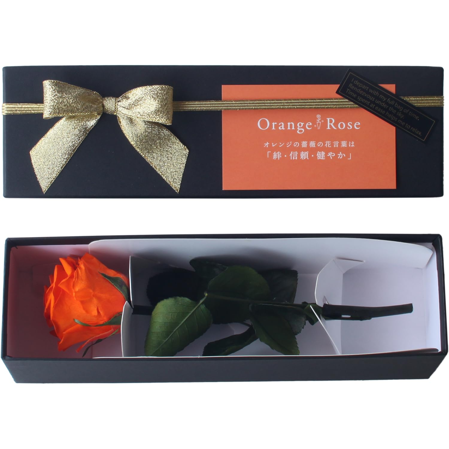 marron］mini bow hair clip 2021 S/S ヘアクリップ ベビー キッズ