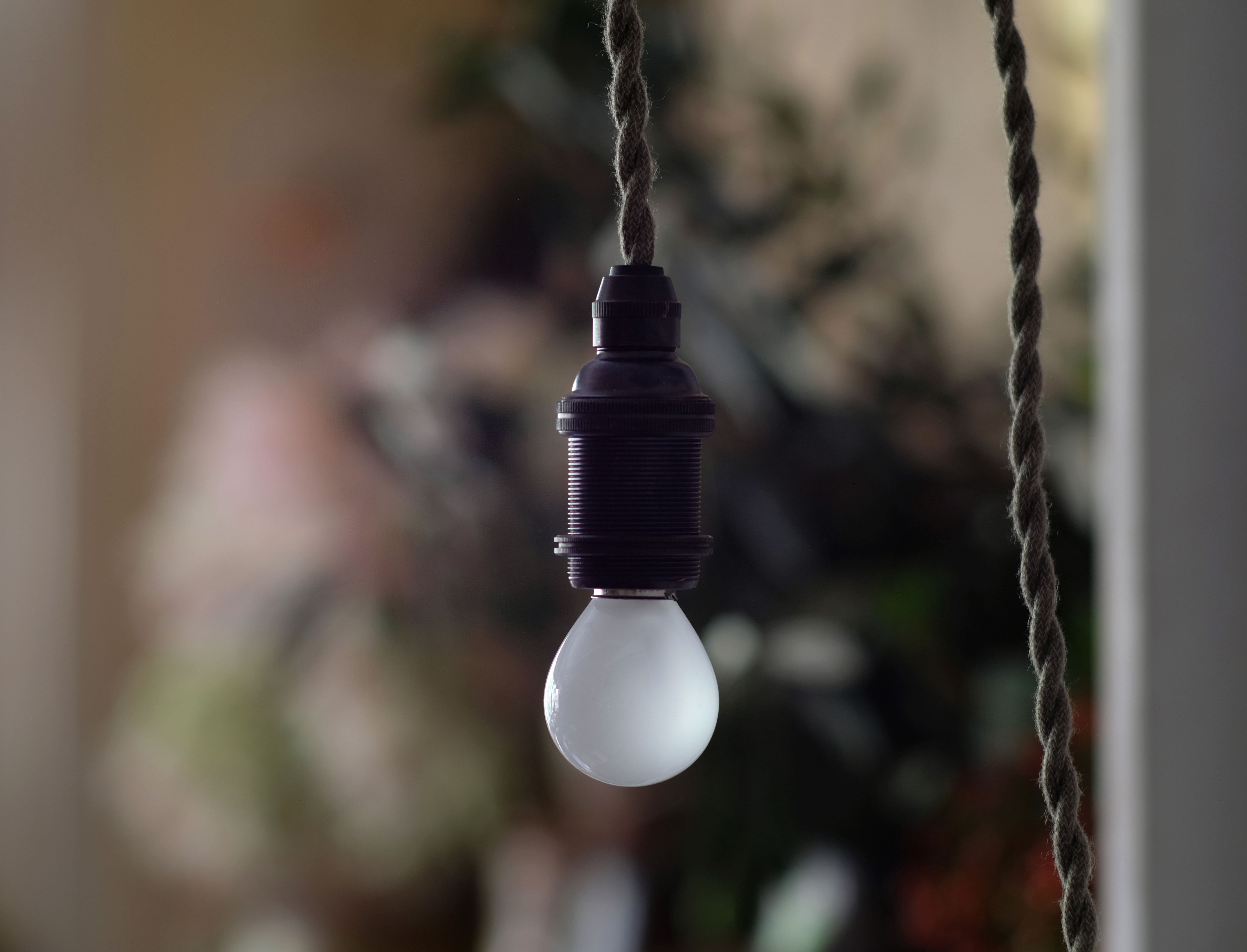 リサイクルカービング　流木ランプ吊り籠 SUNSET HANGER (Lantern Stand) — TOKYO CRAFTS Official