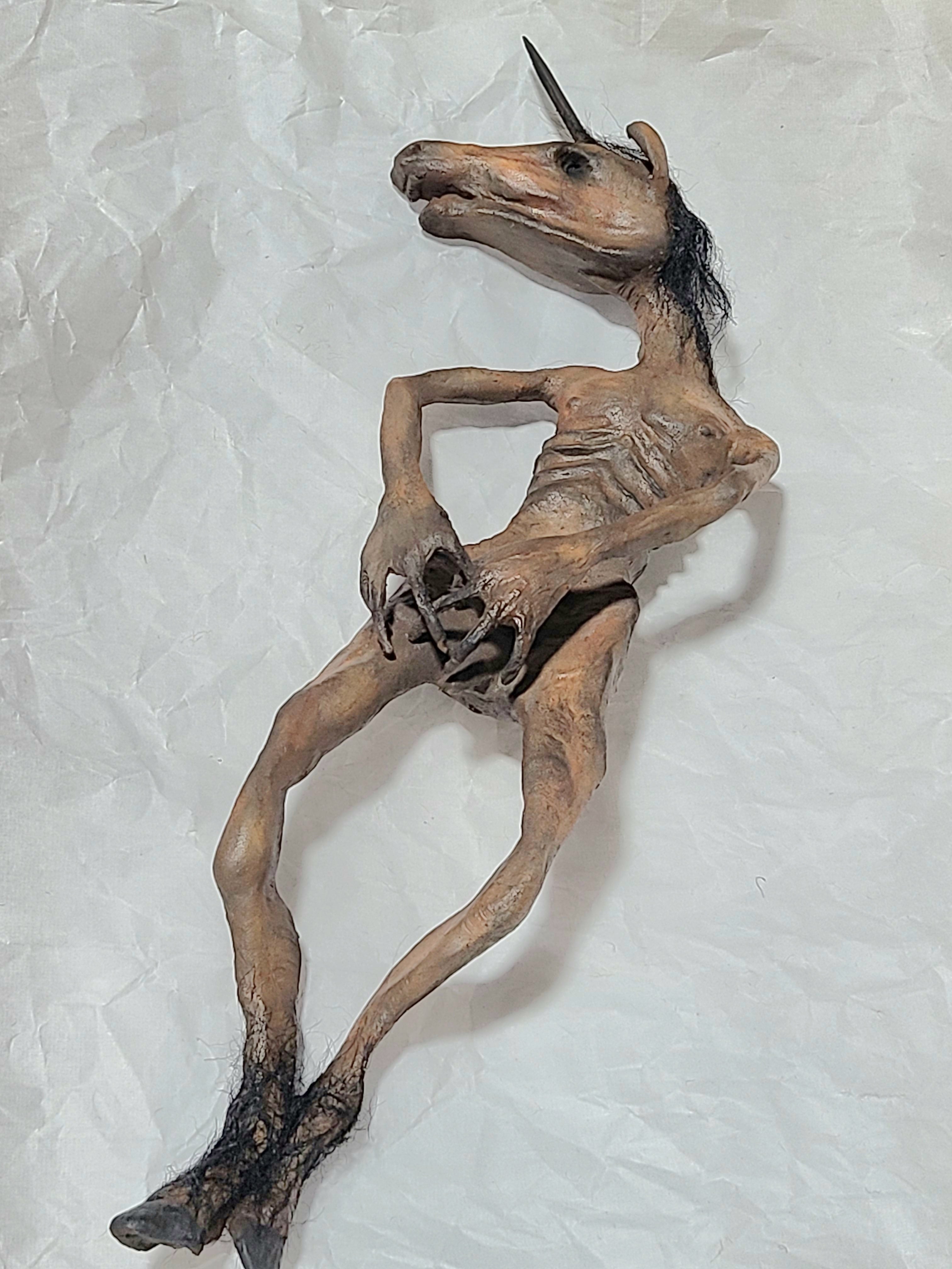 妖怪 馬頭鬼 木乃伊(ミイラ) 怪奇標本 ニ－038 | Pay ID