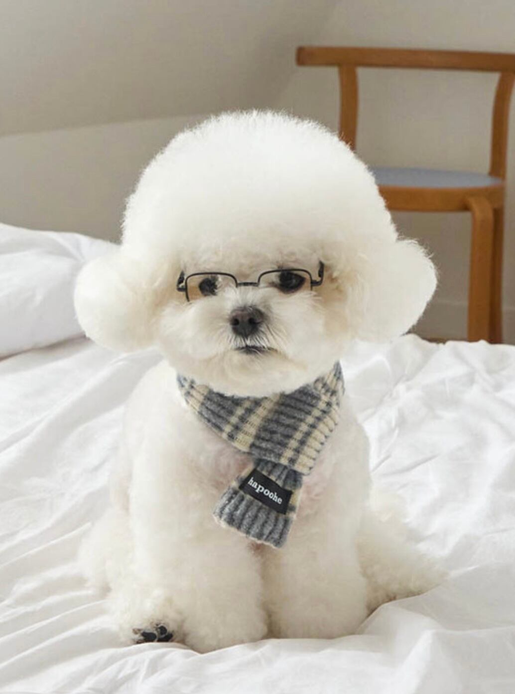 即納] Stripe Label Muffler (gray) | pupuon