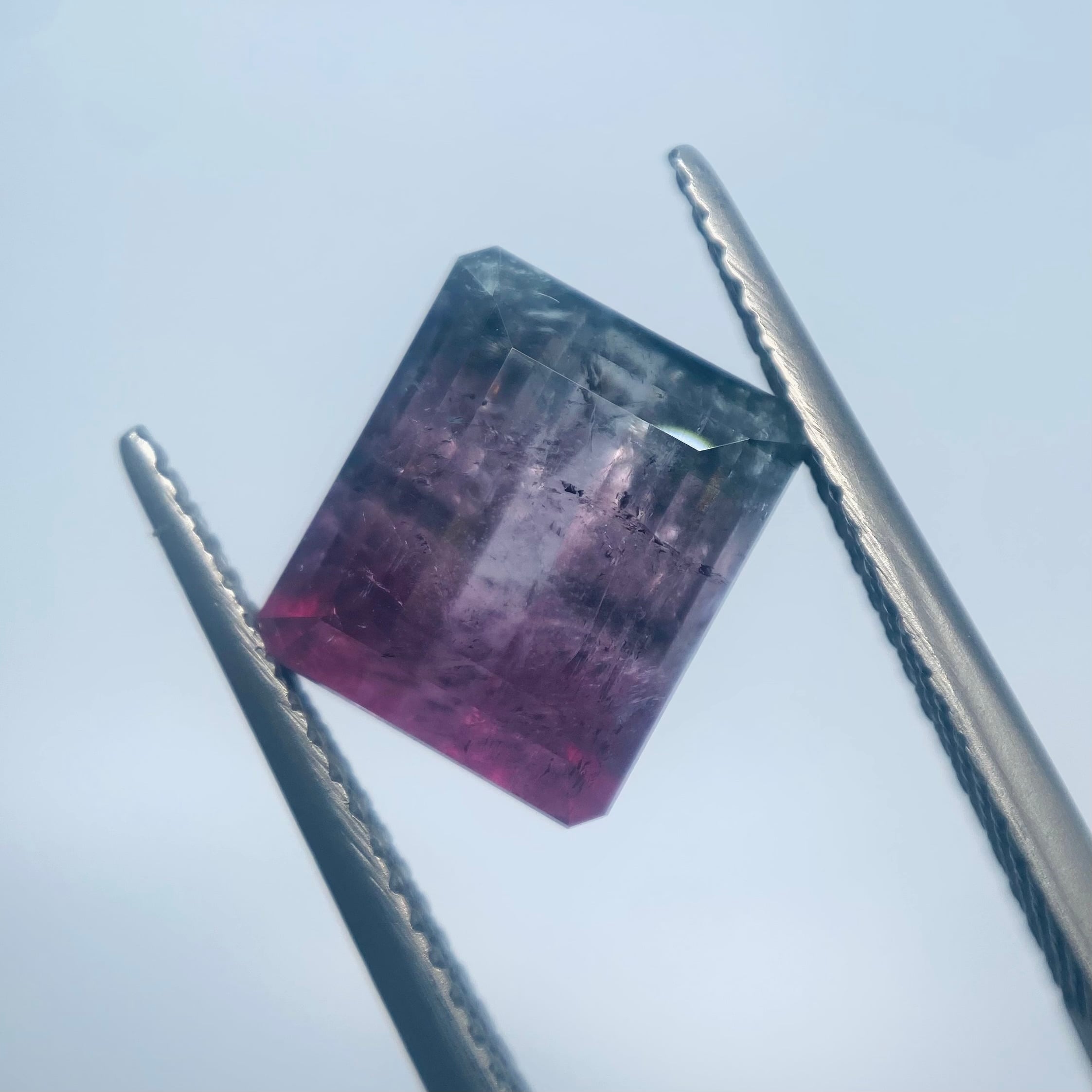 ヴィランズたちのハロウィンパーティー トルマリン