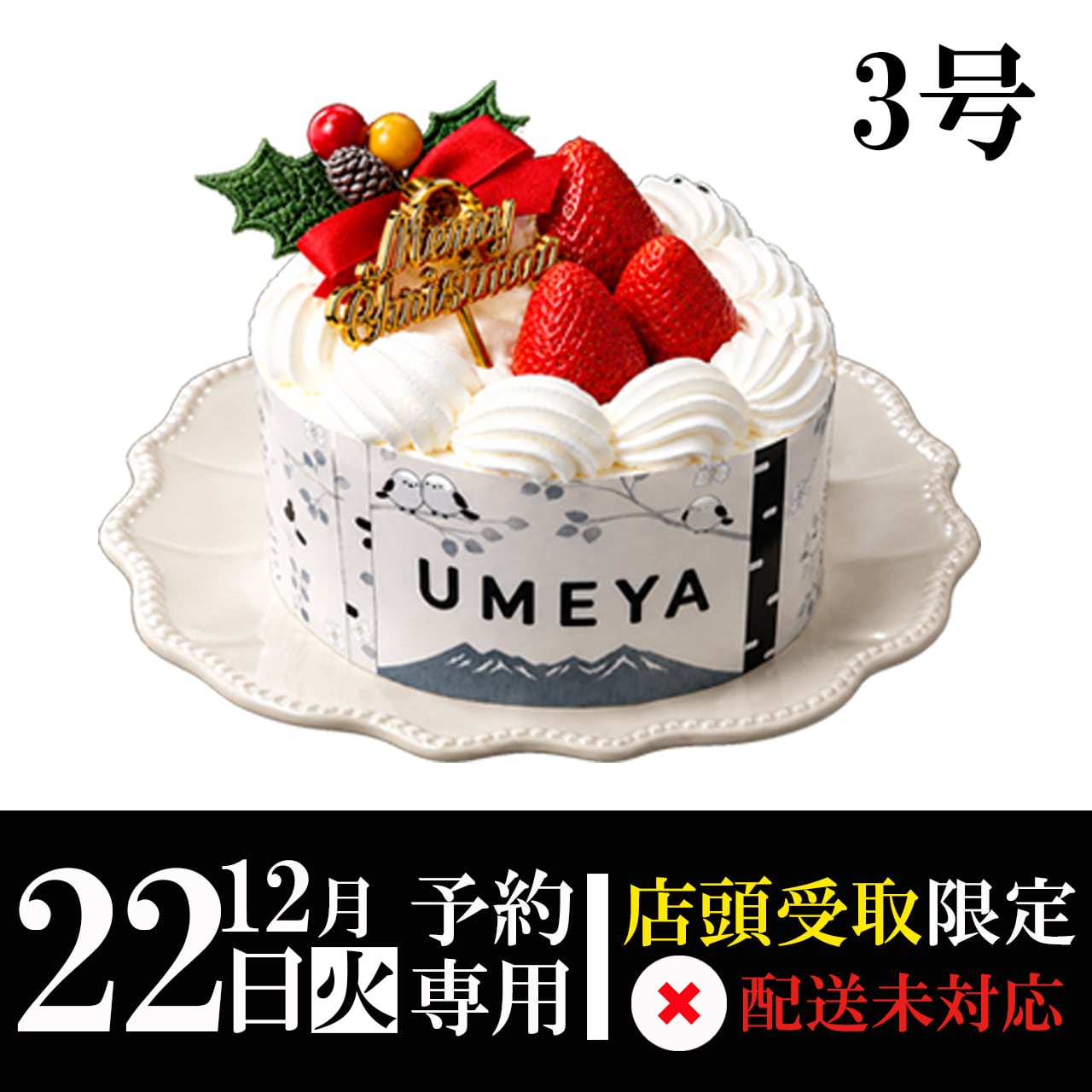 【12月22日(火)専用】ジャージー牛乳生デコレ3号
