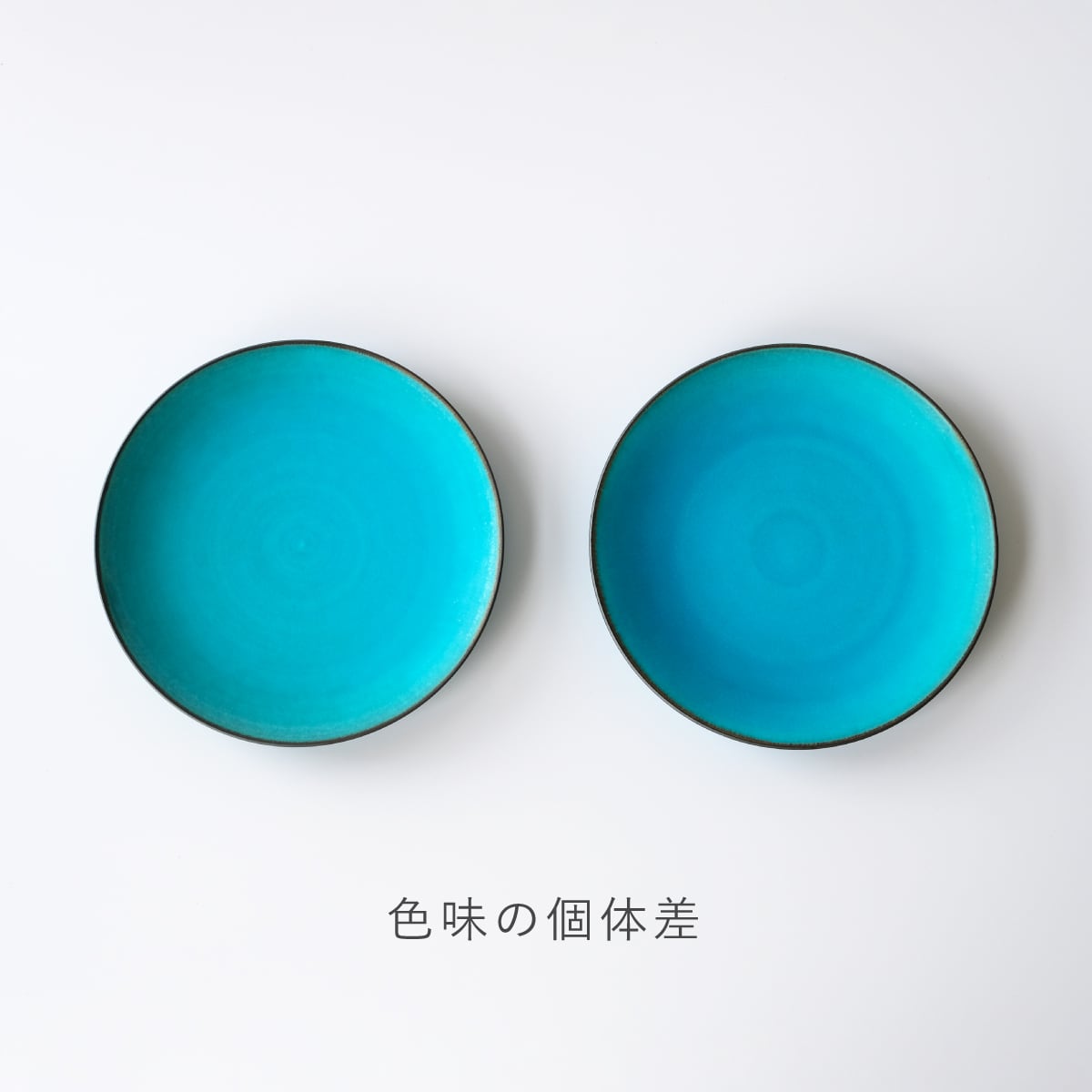 プレート L No.009 Turquoise | ZUIKOUオンラインストア