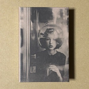 Lab's Cloud - Behind the Pane [CASSETTE]（Le Mont Analogue）