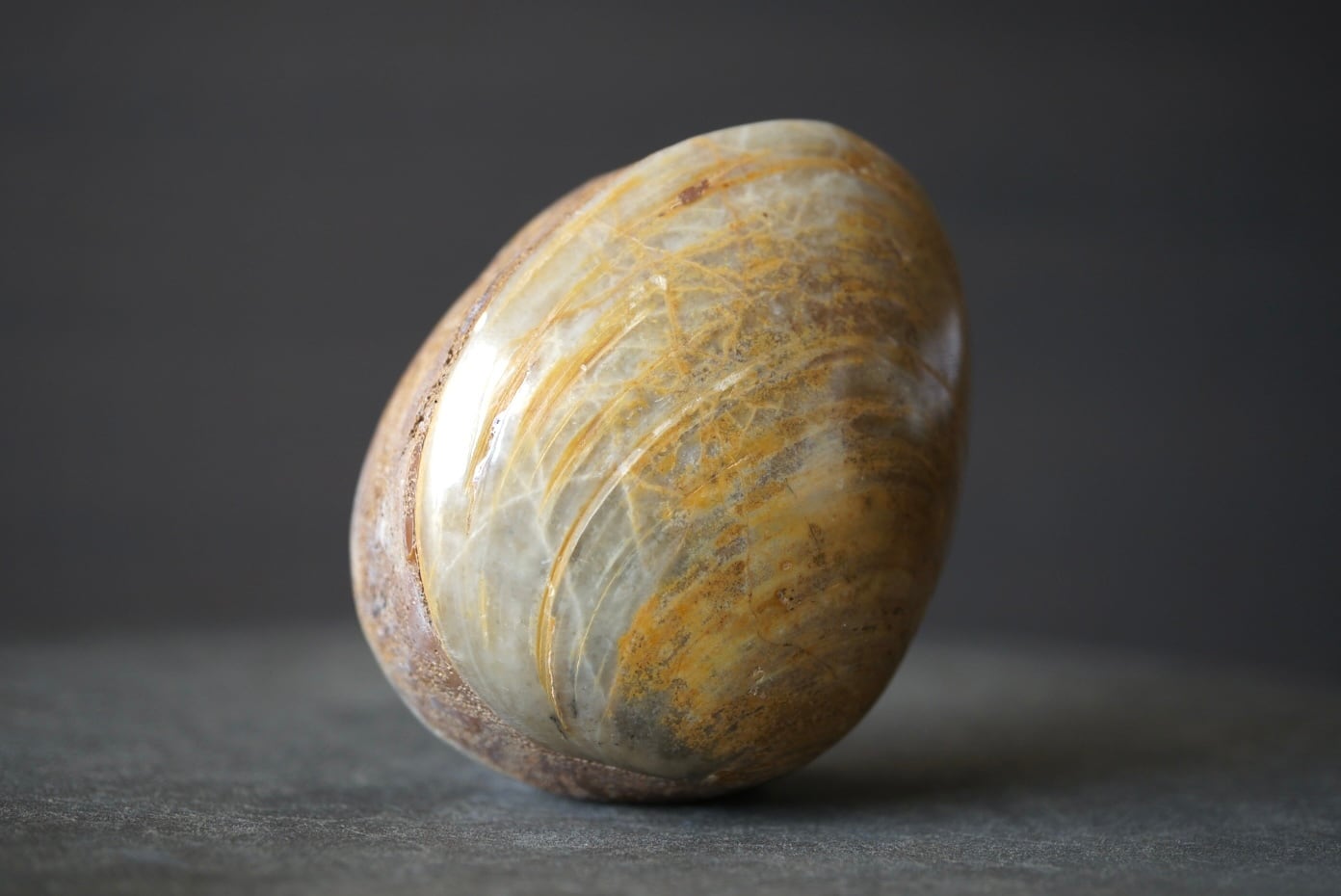 5000~¥10000 | 叙景 jokei