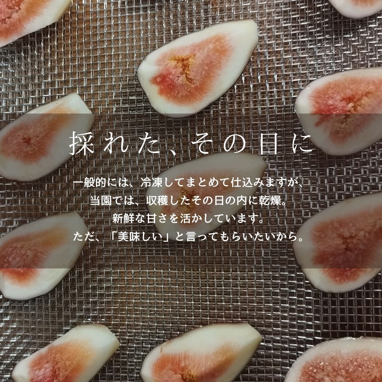 完熟☆無添加】ドライいちじく（赤・白いちじく）食べ比べ 各2袋