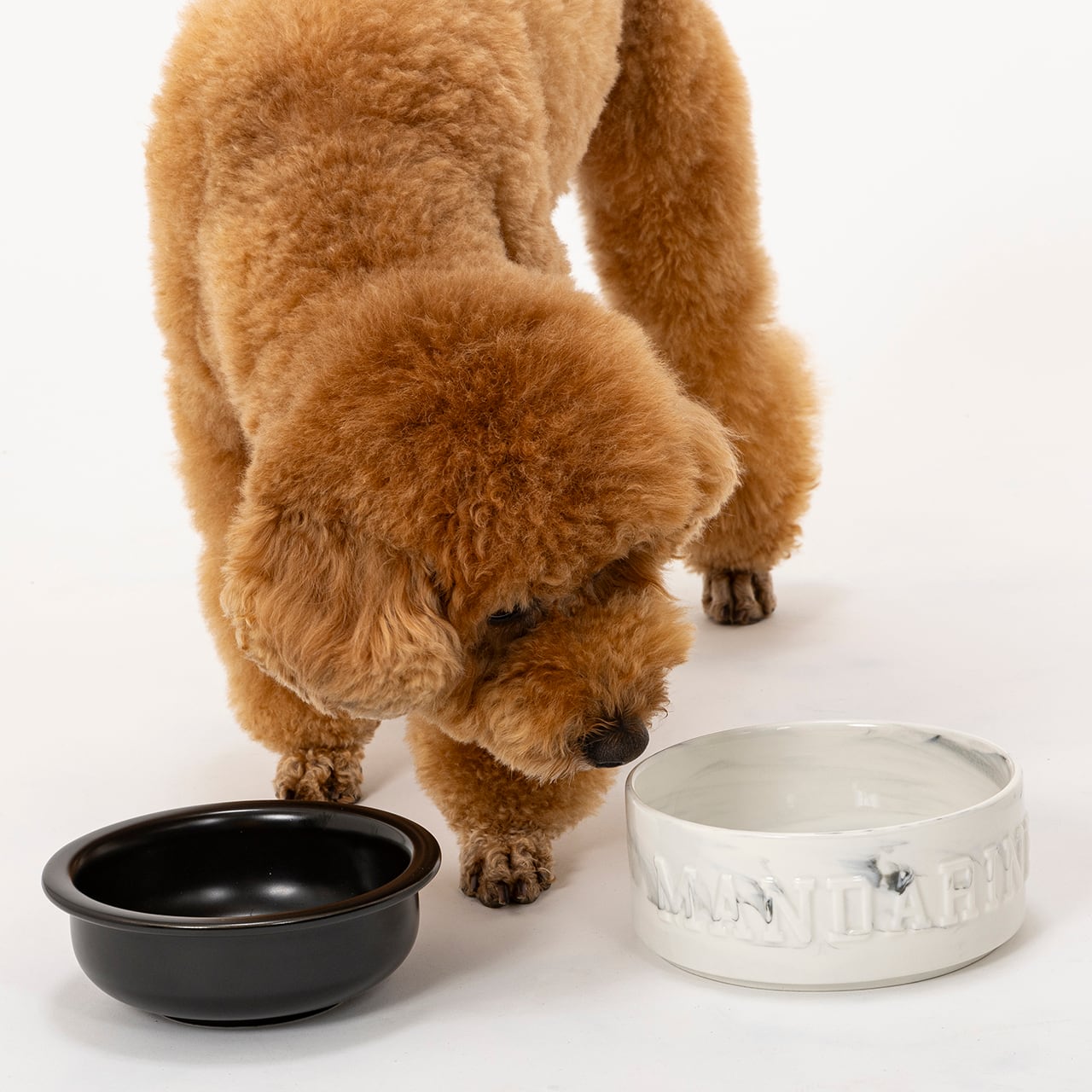 MARBLE COMBINATION BOWLS マーブルコンビネーションボウルズ