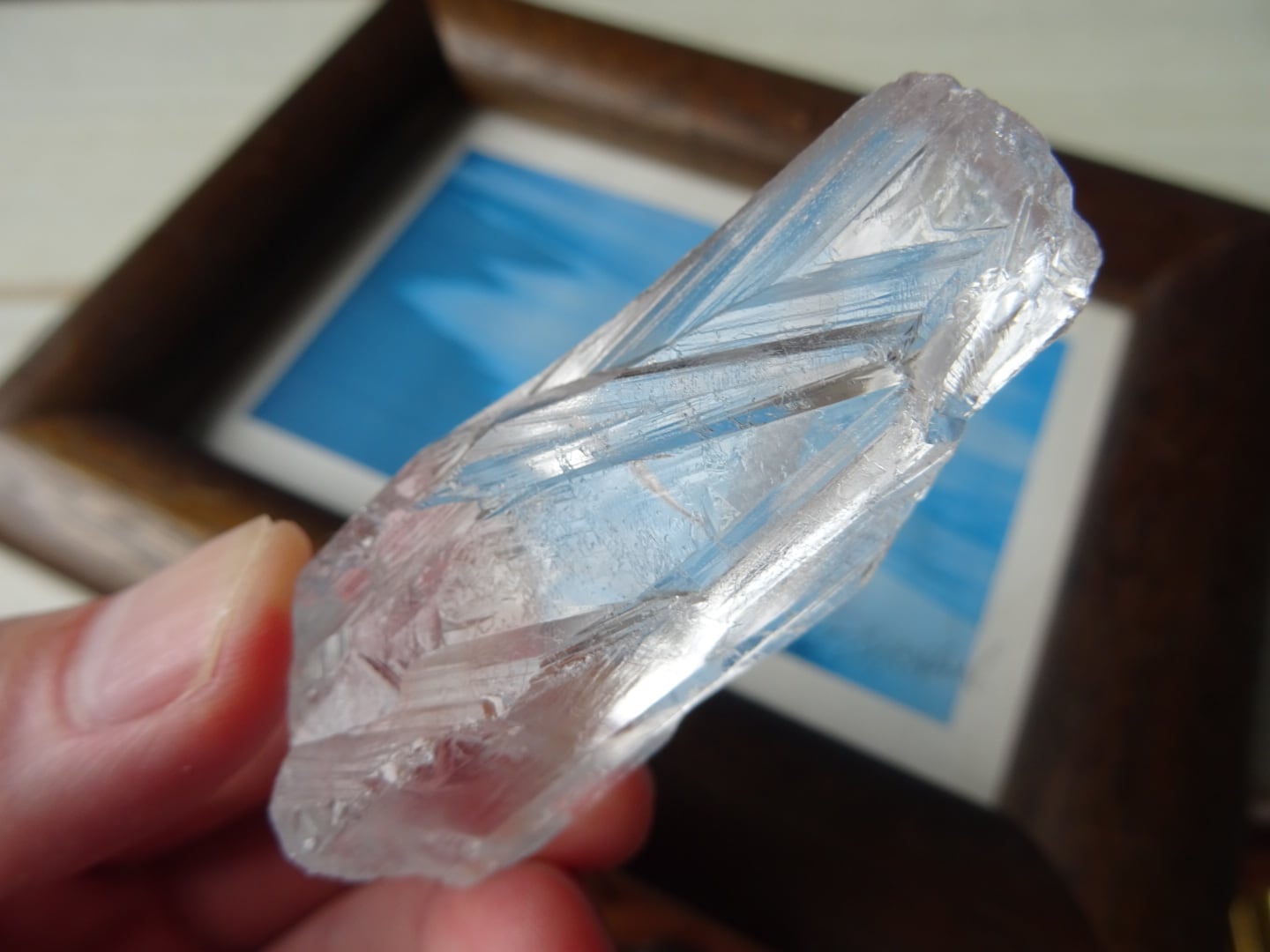 ピュアレイルーツ（レムリアンルーツクォーツ） | 虹石屋