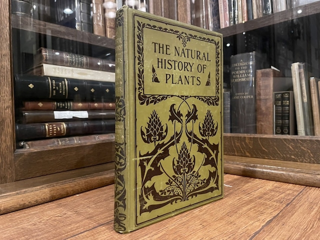 【CV532】THE NATURAL HISTORY OF PLANTS, THEIR FORMS, GROWTH, REPRODUCTION, AND DISTRIBUTION, DIVISIONAL VOLUME Ⅵ/ display book