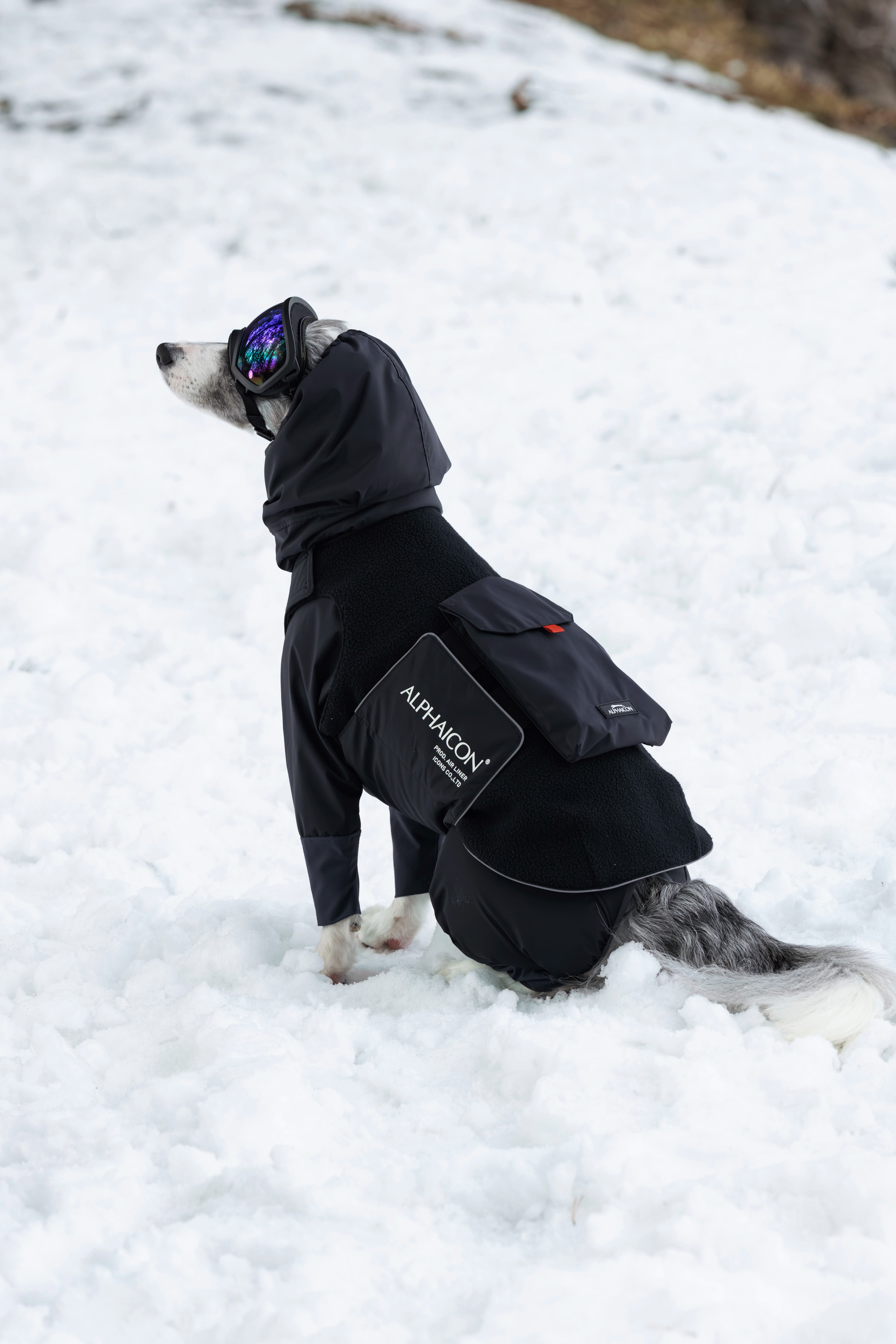 アルファアイコンALPHAICON エアライナー ポケット セット アルファアイコンALPHAICON エアライナー ポケット セット アルファ