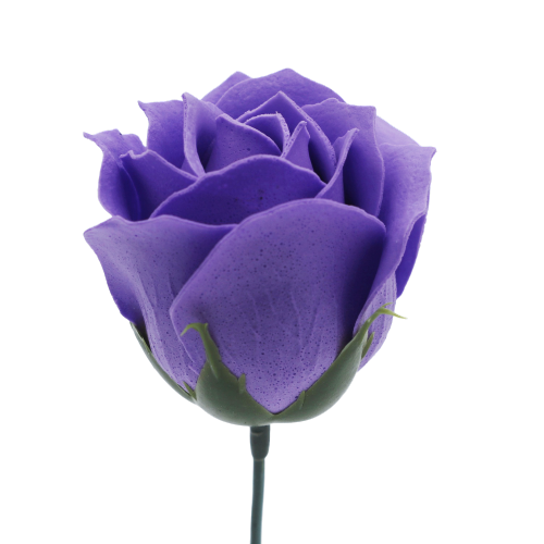 プリンセスバラS-PU3 ミディアムバイオレット (15輪入りor25輪入り)