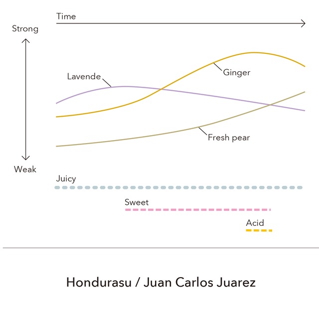 Hondurasu  Geisha -  Juan Carlos Juarez  / 100g