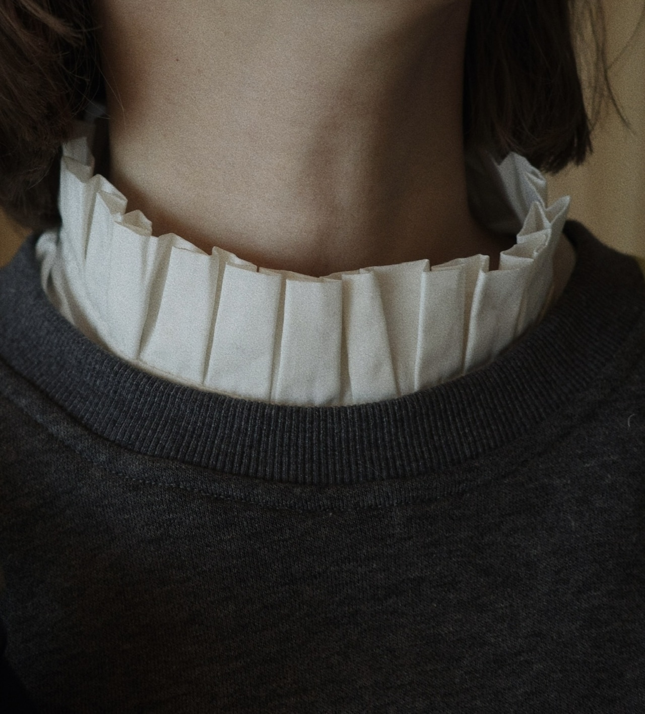 2color スタンドカラーディッキー